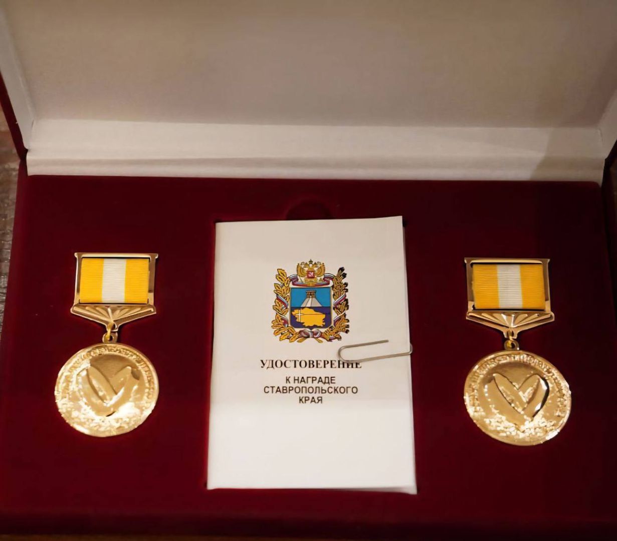 На Ставрополье удвоили число супружеских пар, награждаемых медалью за семейные ценности