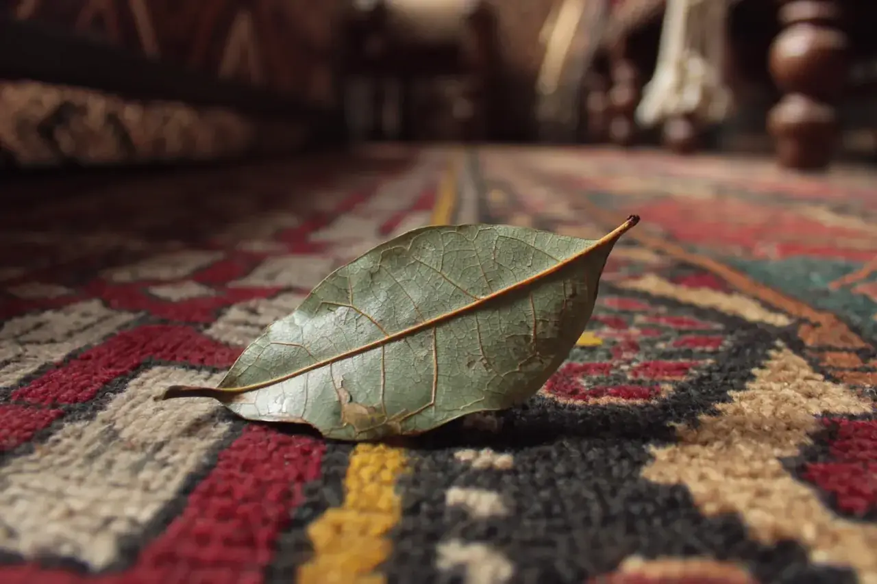 Смеялась над методом свекрови, теперь сама так делаю: лавровый лист под ковёр — и запах сырости исчез за 2 дня