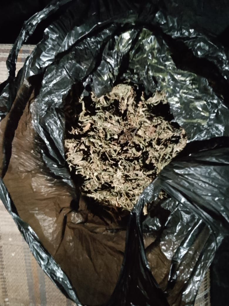 Марихуану нашли у рецидивиста на Ставрополье