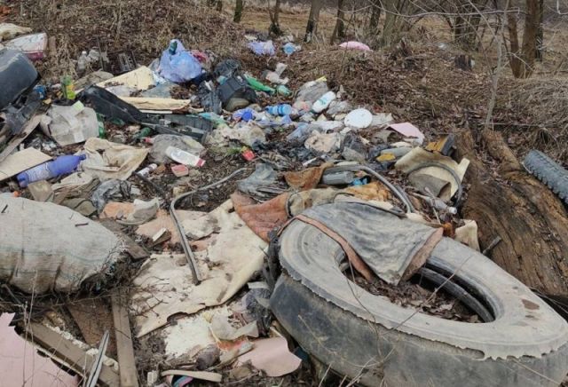 На закрытой городской свалке в Новопавловске обнаружили трупы животных На закрытой городской свалке в Новопавловске обнаружили трупы животных
