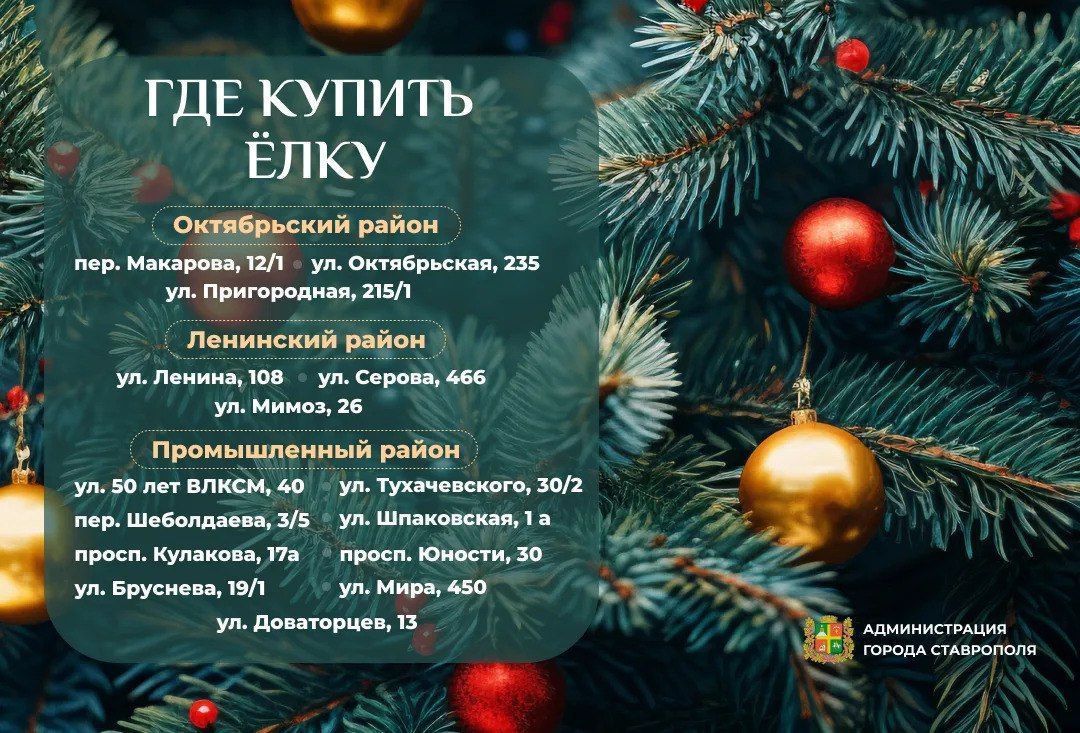 Целых 15 ёлочных базаров откроются в Ставрополе в преддверии Нового года