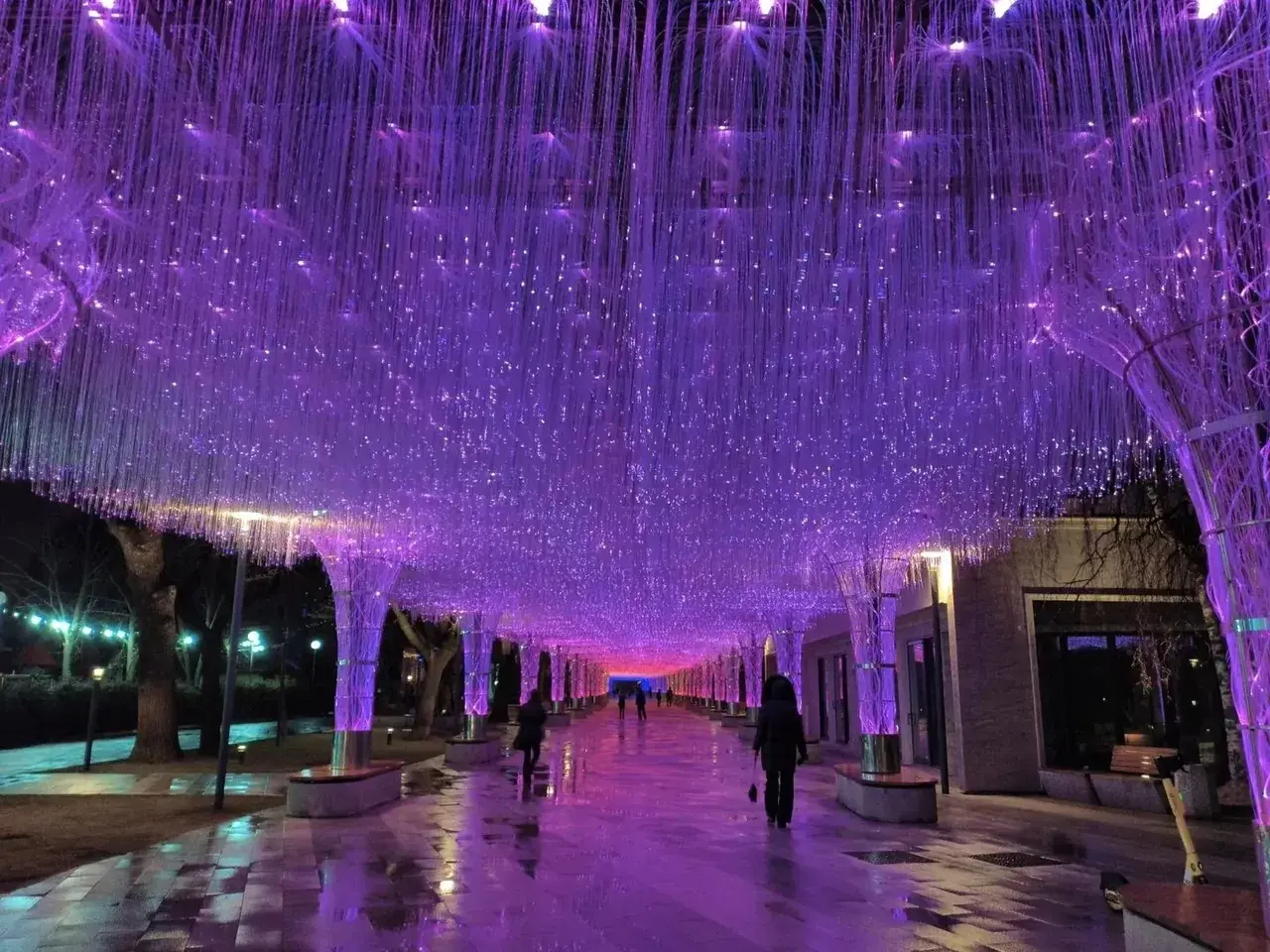 В центре Ставрополя преобразился световой тоннель