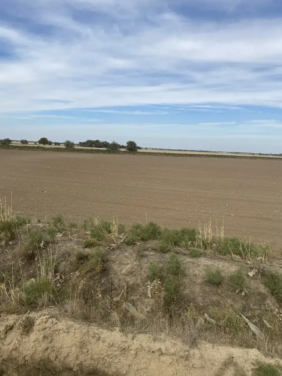 Ставропольский фермер получил условный срок и штраф за обман Минсельхоза на 5,4 млн рублей