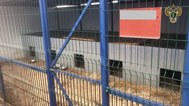 На Ставрополье директора пункта содержания животных оштрафовали за плохие условия для четвероногих