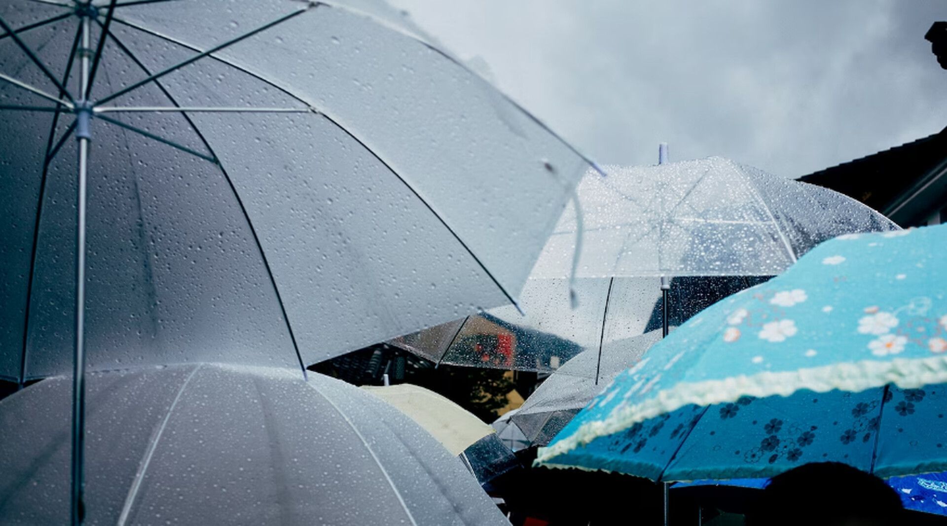 Штормовое предупреждение в очередной раз объявлено на Ставрополье