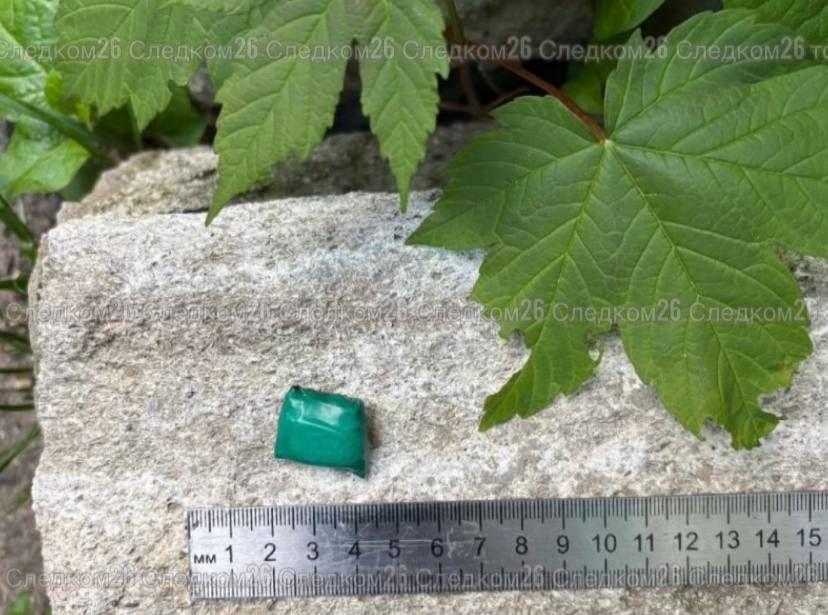 16-летнего ставропольца заподозрили в покушении на сбыт наркотиков