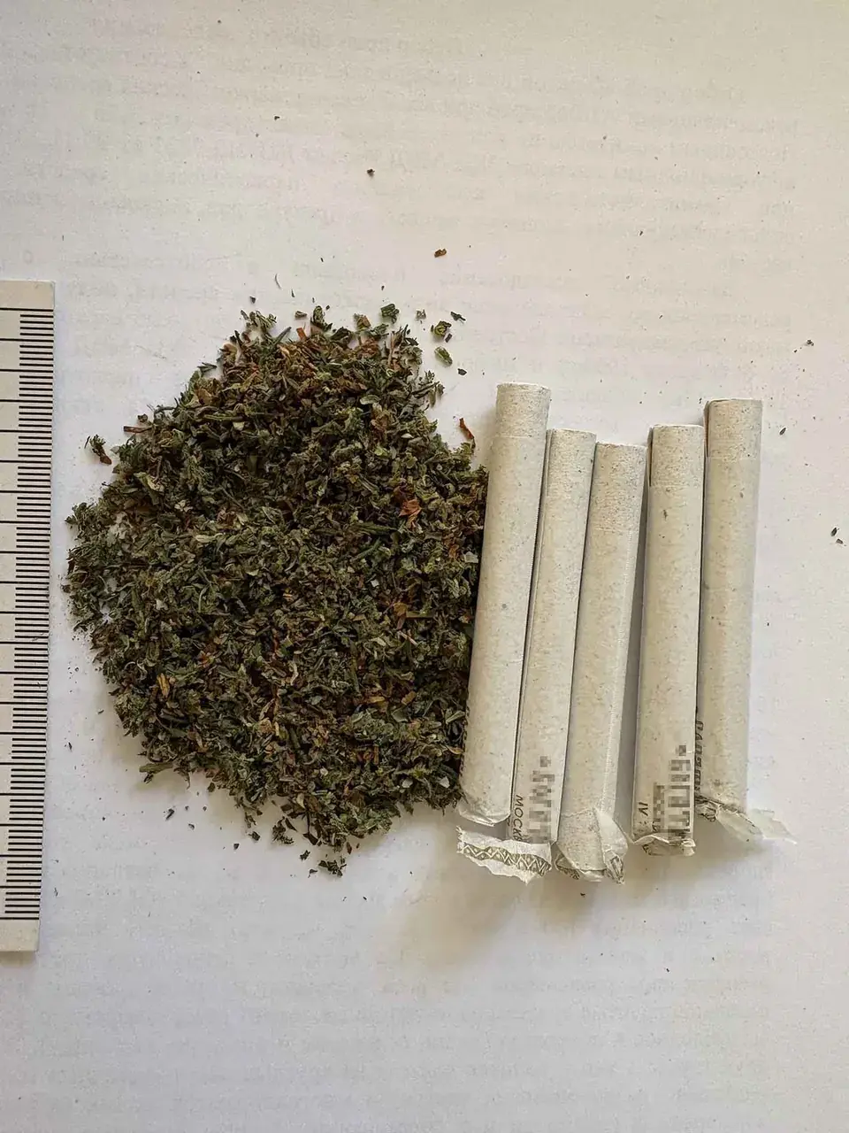 Жителю Кочубеевского округа грозит срок за хранение марихуаны