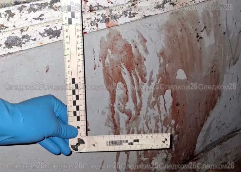 Ставрополец зарезал супругу, желавшую с ним развестись