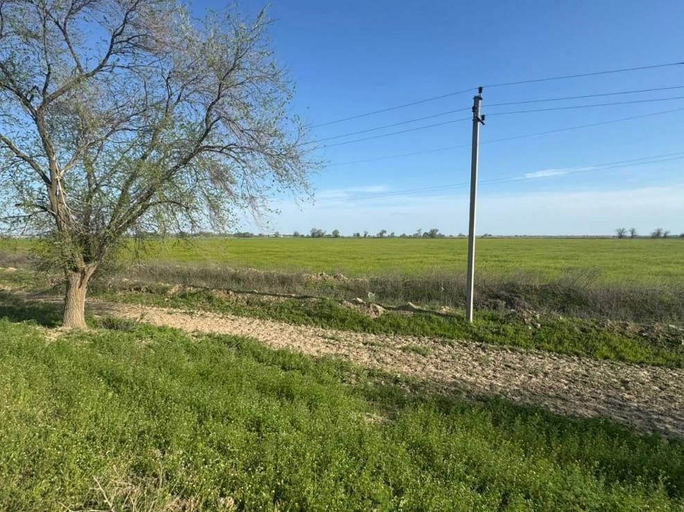 Тело убитого мужчины нашли на Ставрополье