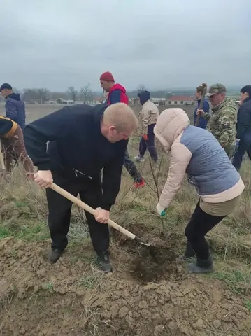 Белую акацию посадили на Ставрополье в память о павших в годы ВОВ