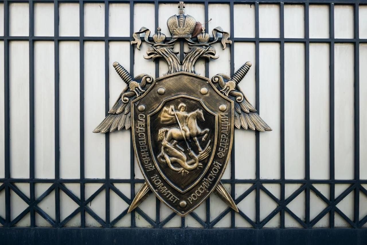 В Светлограде подростки избили сверстницу и засняли происходящее на видео