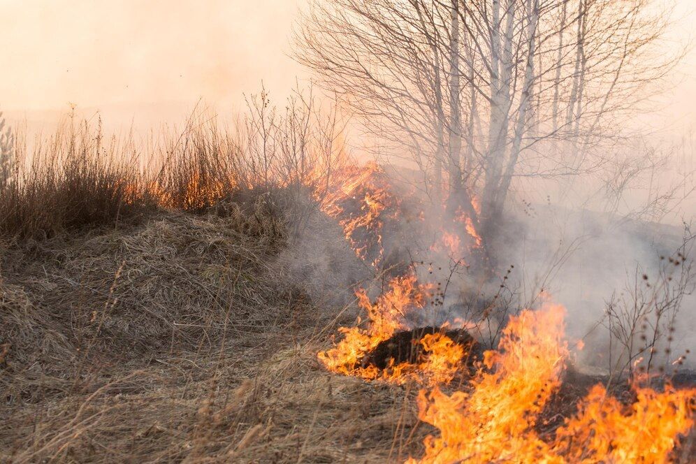 На Ставрополье с начала марта сухая трава горела более 260 раз