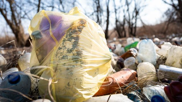 Закрытие полигонов привело к мусорной проблеме на КМВ