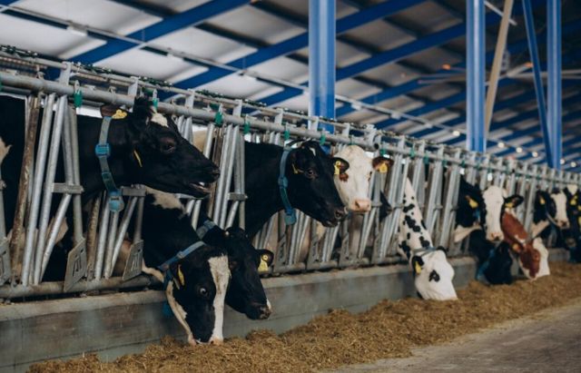 На Ставрополье суд обязал молочный комбинат провести экологическую оценку своей деятельности