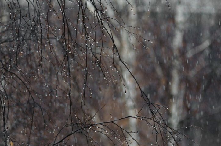 Техногенные аварии на Ставрополье устраним оперативно,  Владимир Владимиров