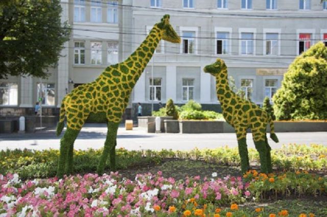 В Ставрополе появится шесть новых зон для семейного досуга В Ставрополе появится шесть новых зон для семейного досуга