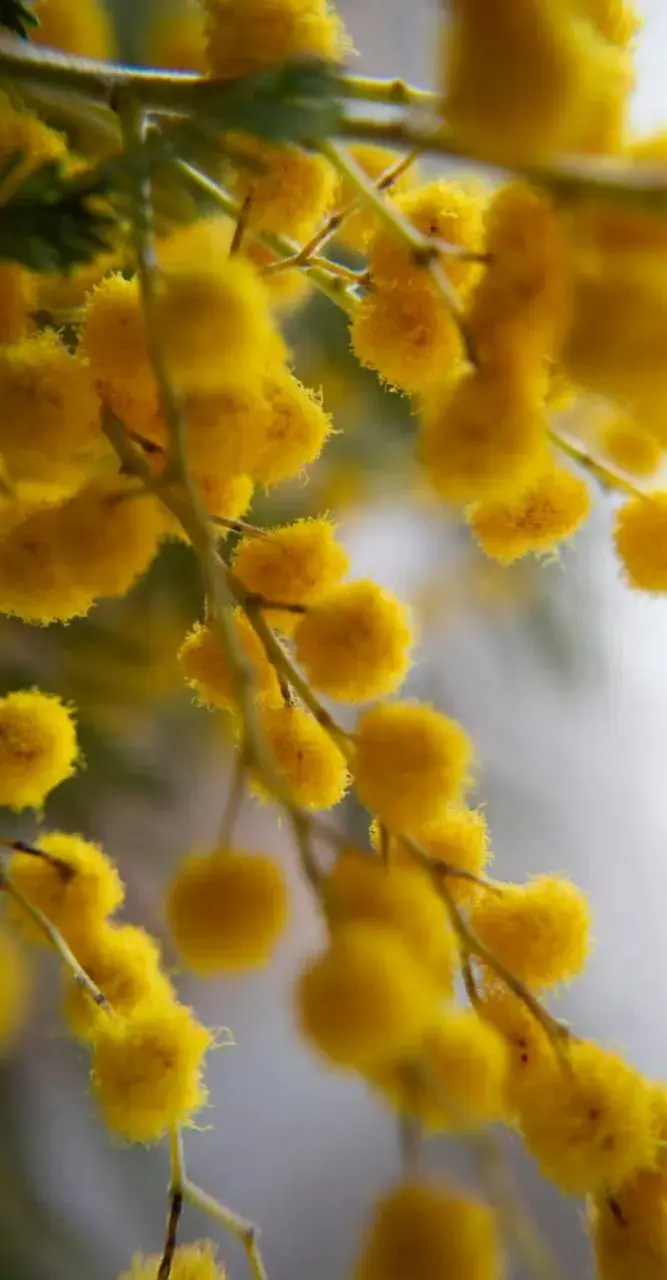 Эксперт ставропольского вуза рассказала об истории Международного женского дня