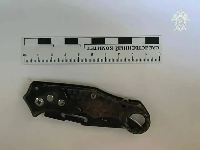 Жительница Ставрополья спасла супруга от мужчины с ножом