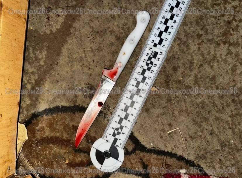 Безработный мужчина погиб от удара ножа собственного брата в Изобильном