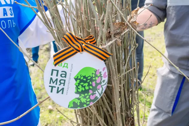 Ставропольские газовики высадили более 600 саженцев ясеня в рамках международной акции «Сад памяти»