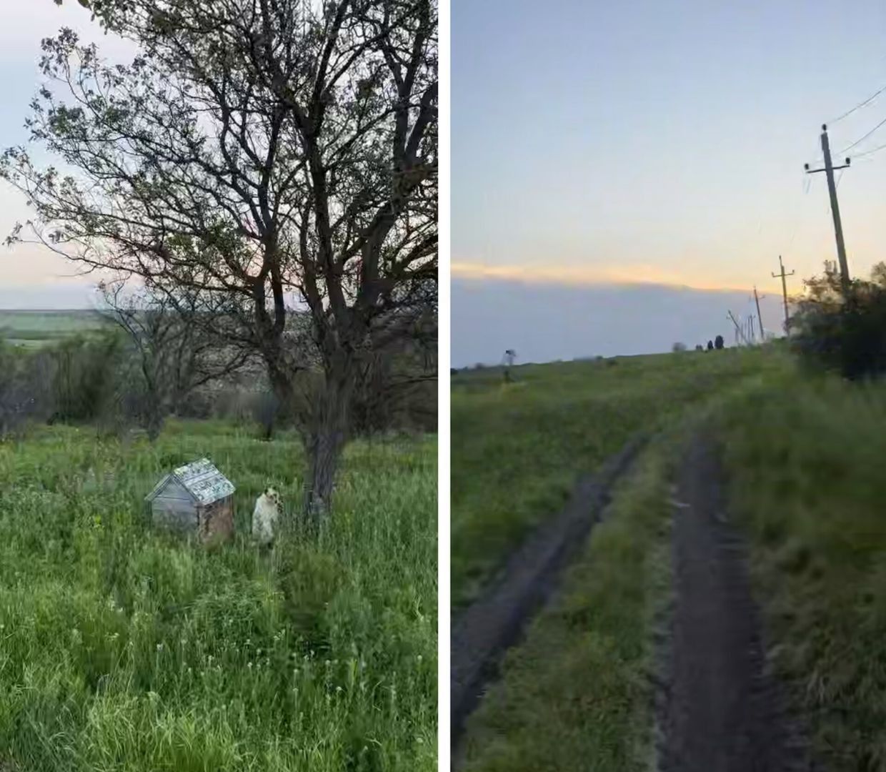 Неизвестный бросил на горе собаку с будкой