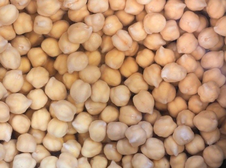 Свыше 60 тонн нута собрали в Ставропольском крае