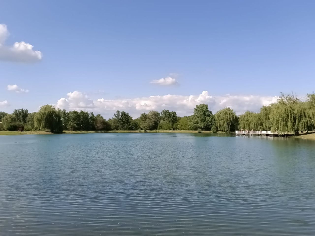 Тело мужчины извлекли из озера в Георгиевске