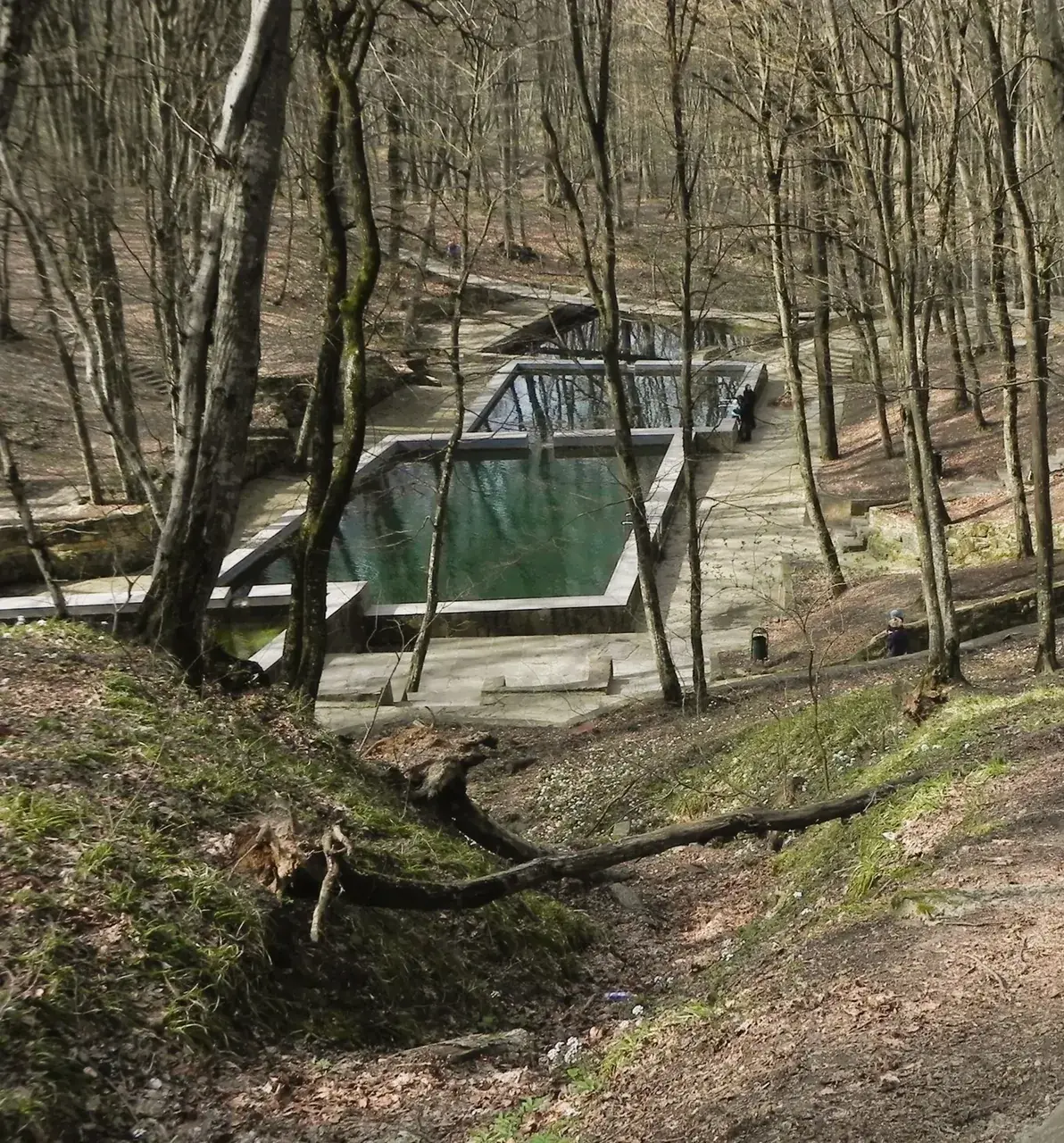 Семь туристических маршрутов появятся в Таманском лесу Ставрополя