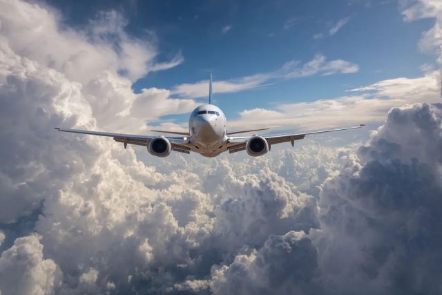 Суд опубликовал подробности уголовного дела о мошенничестве на фестивале КАРДО