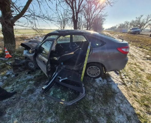 Легковушка влетела в дерево в Буденновском округе