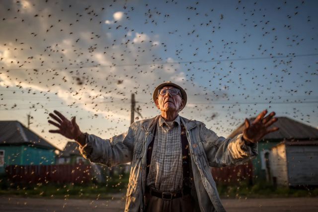 Ученые взяли «анализ крови» у комаров — и ужаснулись результатам