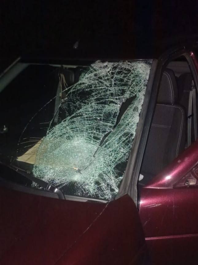 Женщину сбили насмерть на Ставрополье