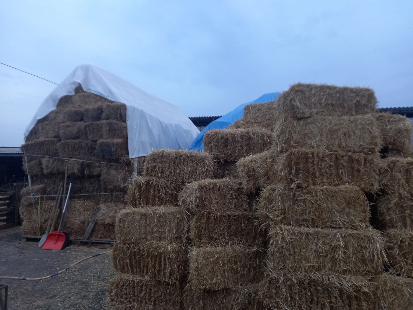 Более 4 тонн соломы похитили на Ставрополье