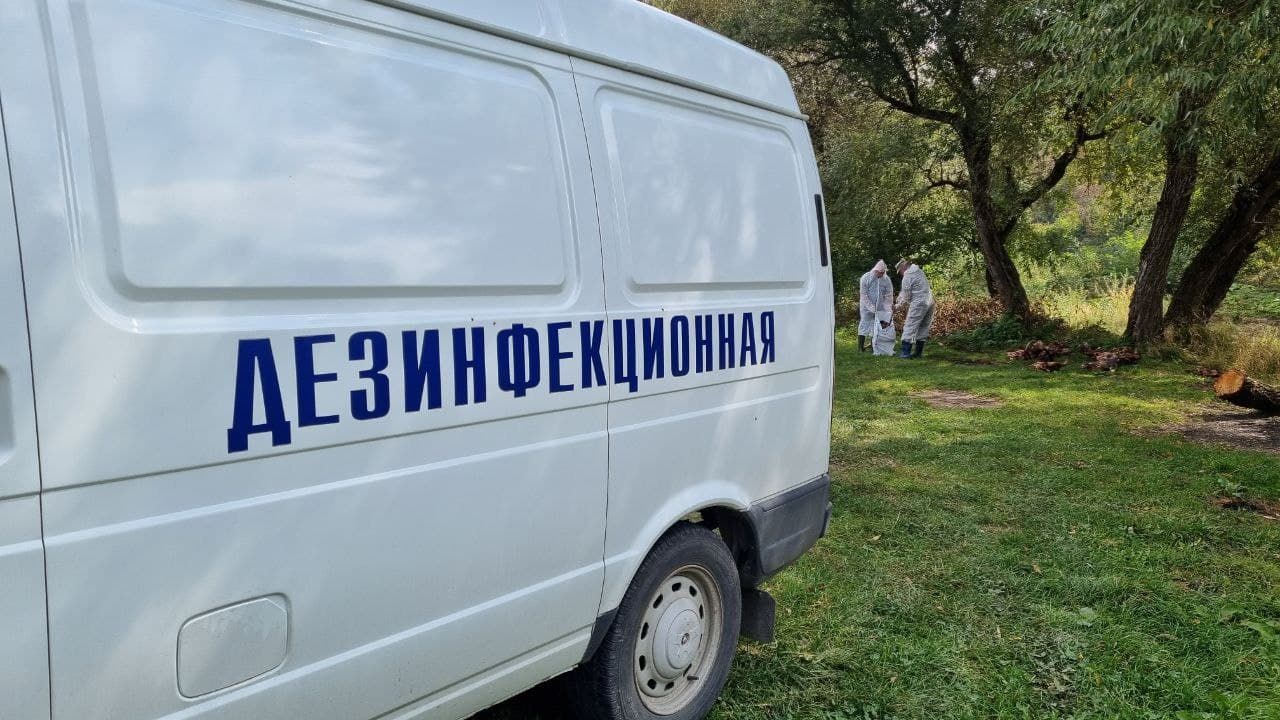 На Ставрополье туристы в поисках места для шашлыков обнаружили останки животных На Ставрополье туристы в поисках места для шашлыков обнаружили останки животных