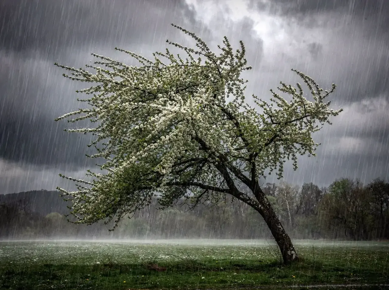 Дожди со снегом и похолодание ждут ставропольцев в первые майские выходные