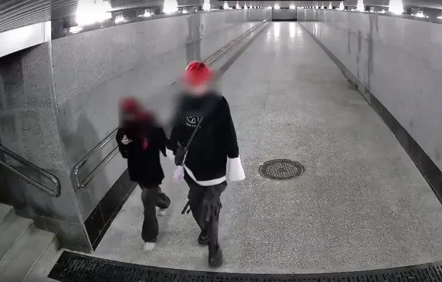 Красноволосых вандалов ищут в Ставрополе