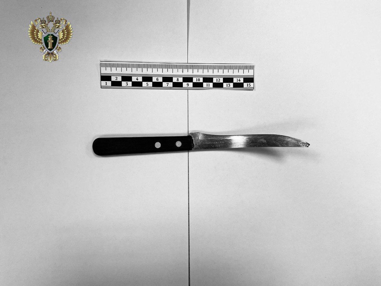 Житель Ставрополья зарезал знакомого из-за оскорблений