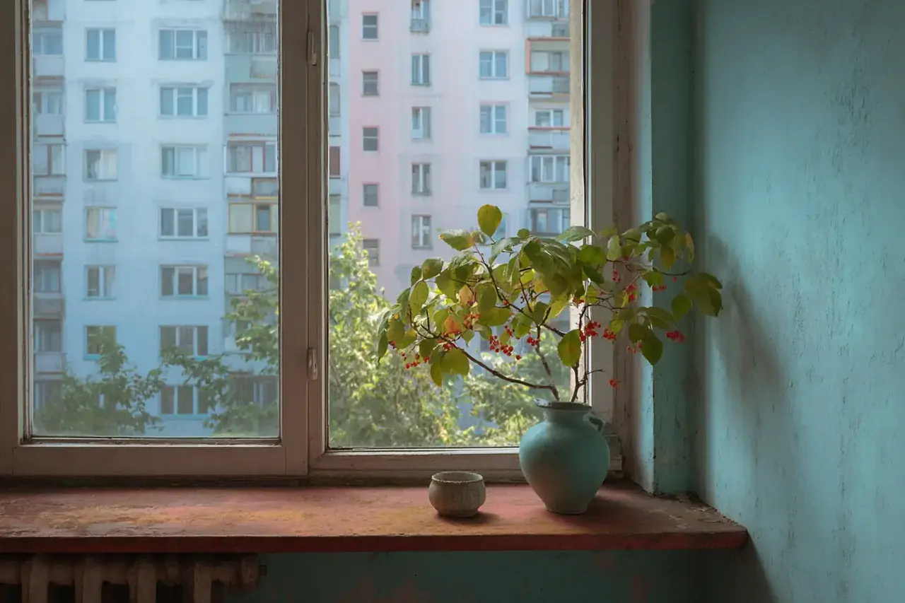 В хрущёвках 1958 года подоконники делали шире на 12 см — не для красоты: вот зачем на самом деле