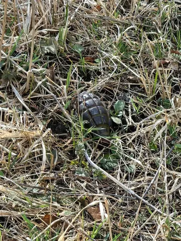 Гранату обнаружили недалеко от Олимпийского комплекса в Кисловодске