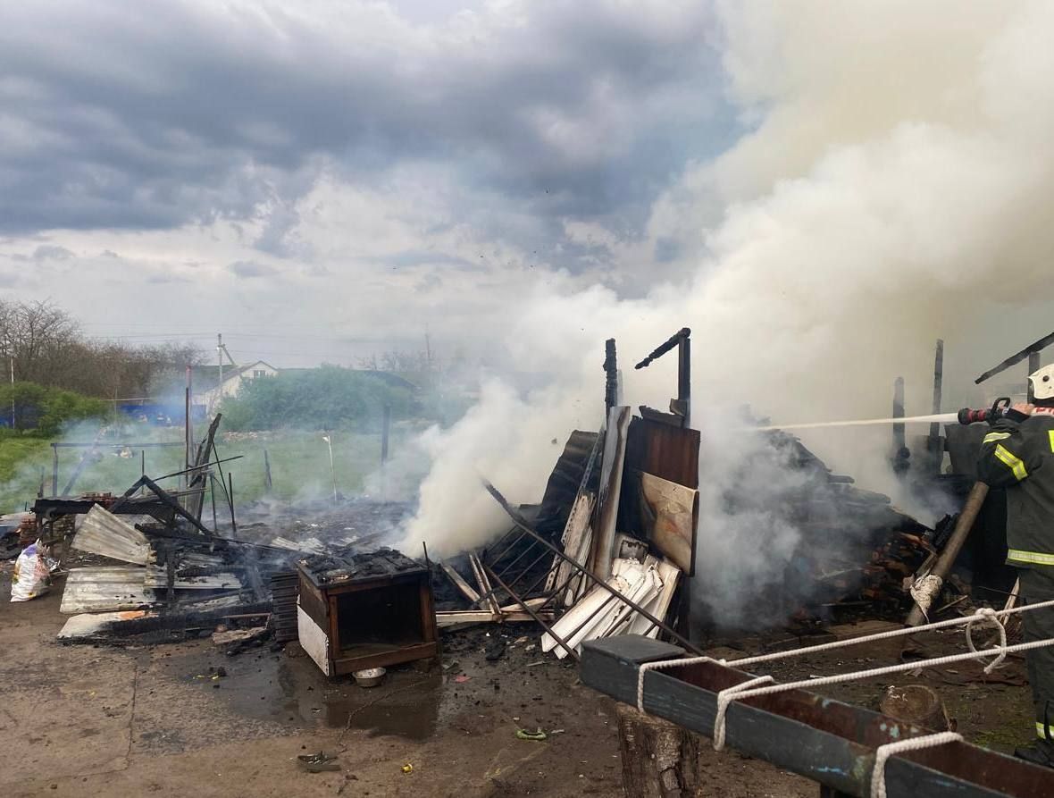 Овечку и курочек спасли из горящего сарая пожарные