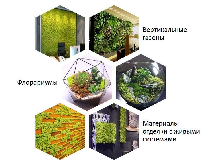 В Ставрополе 3 марта пройдёт открытый семинар «Сити-фермерство — тема твоего start up»