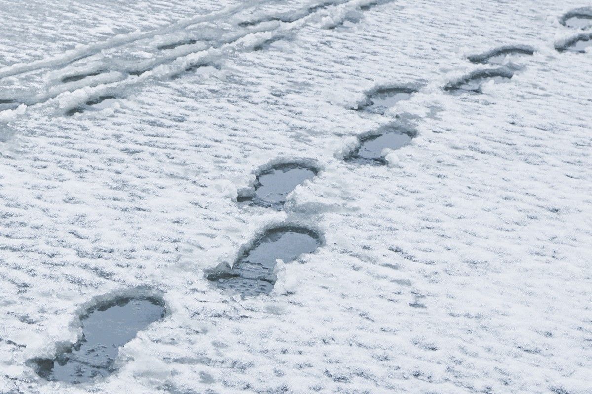 Потепление до 3 градусов прогнозируют на Ставрополье с 15 декабря