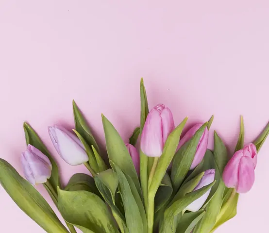 Четырехдневная рабочая неделя ждет ставропольцев в марте