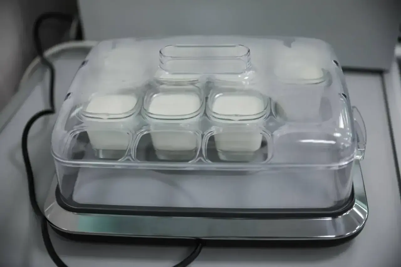 Всемирный день молока: в СКФУ рассказали о пользе продукта
