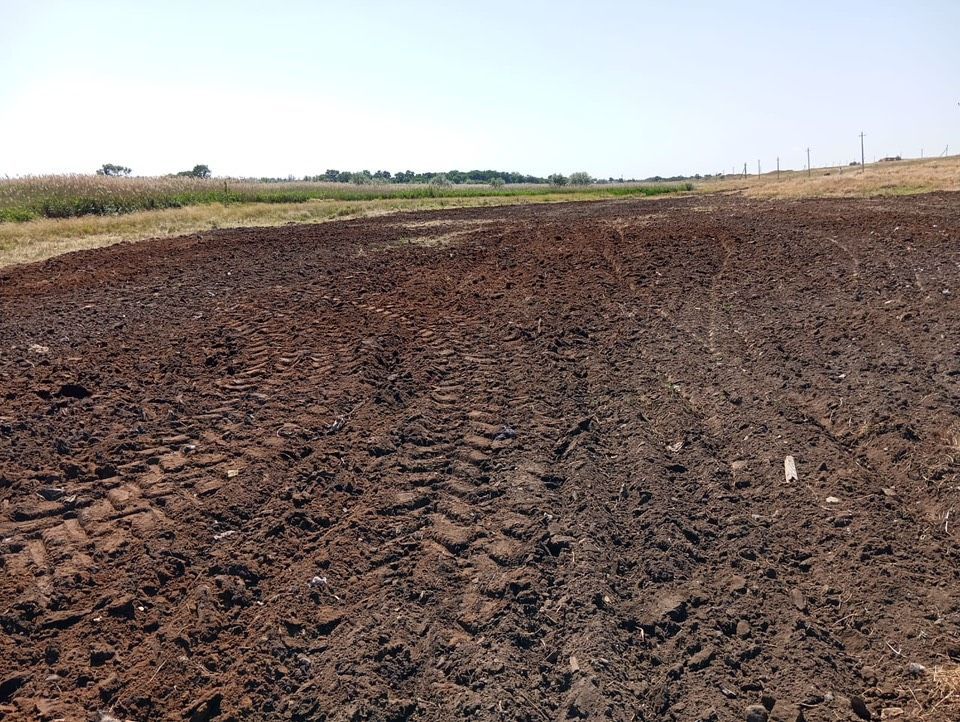 Три года потребовалось для устранения свалки на землях сельхозназначения на Ставрополье