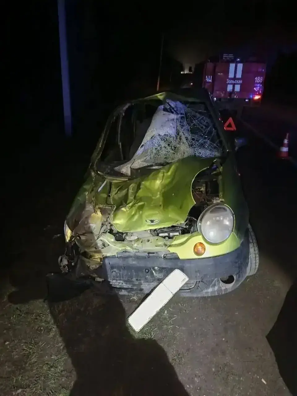 На Ставрополье лошадь пробила лобовое стекло машины и травмировала пассажирку