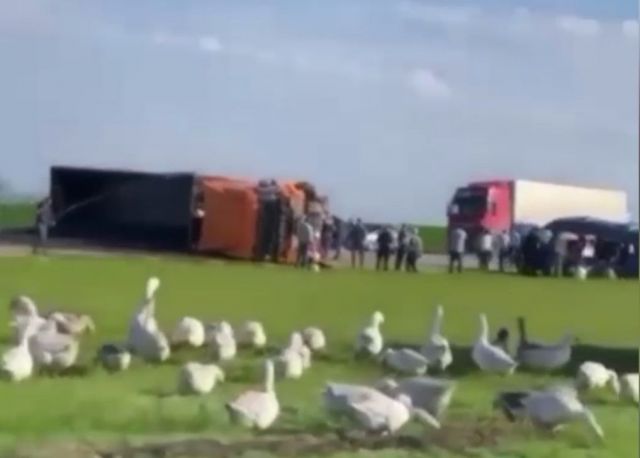В Грачёвском округе в аварию попал микроавтобус с детьми, есть погибшие В Грачёвском округе в аварию попал микроавтобус с детьми, есть погибшие