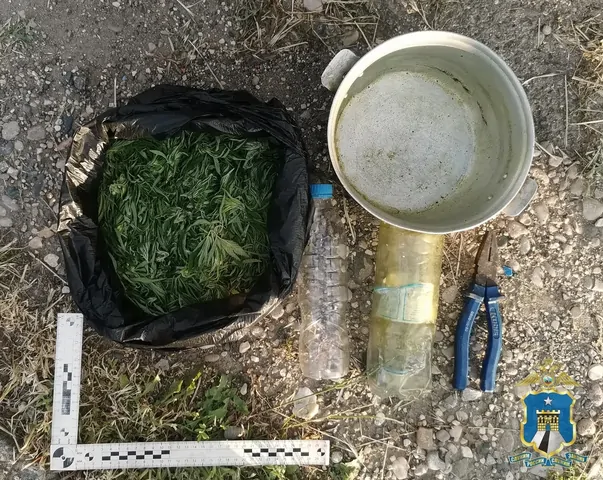 На Ставрополье парня задержали с 200 г марихуаны