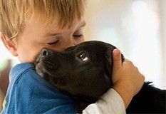 На Ставрополье детей с ДЦП и аутизмом лечат четвероногие друзья На Ставрополье детей с ДЦП и аутизмом лечат четвероногие друзья