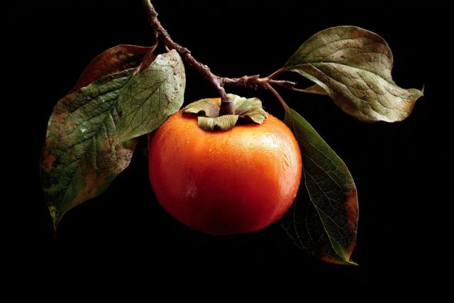 Супeрпродукт этой зимы: чем опасна хурма и кому её нельзя есть